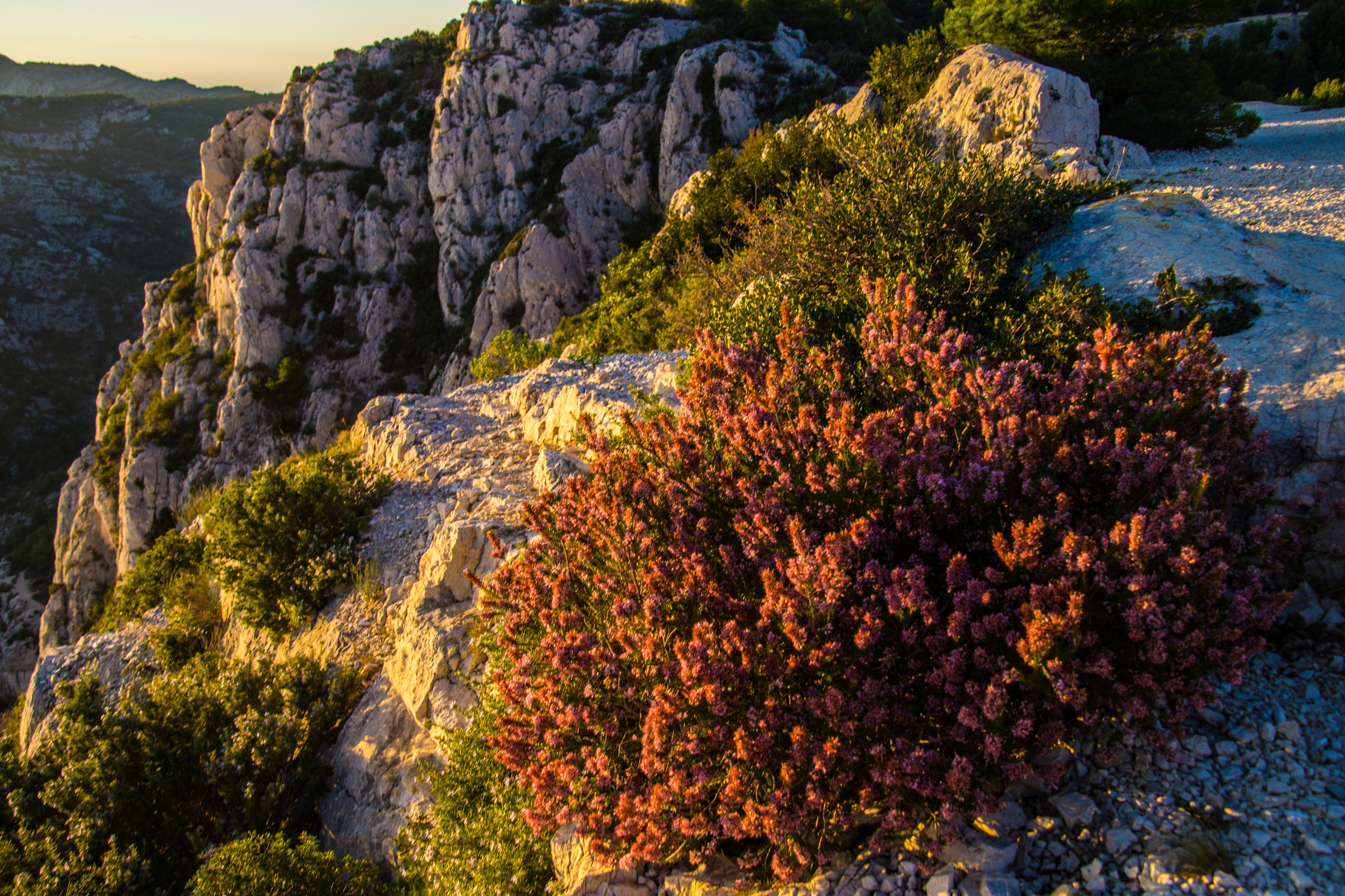 calanques national park (3).webp